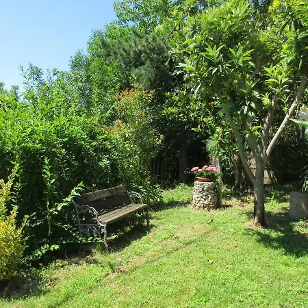 Carboni