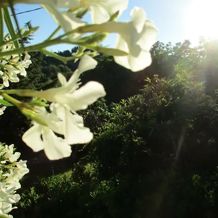 Carboni Bed & Breakfast Penna San Giovanni