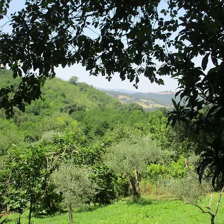 Carboni Penna San Giovanni