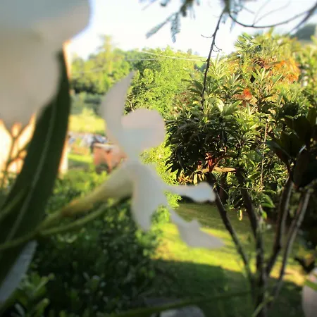 Carboni Bed & Breakfast Penna San Giovanni