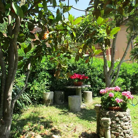 Carboni * Penna San Giovanni